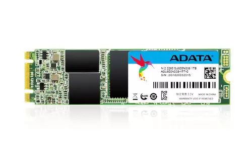 אחסון ADTAT SSD M.2 2280 Ultimate SU800 512G Adata