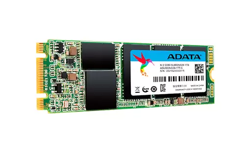 אחסון ADTAT SSD M.2 2280 Ultimate SU800 512G Adata תמונה 3