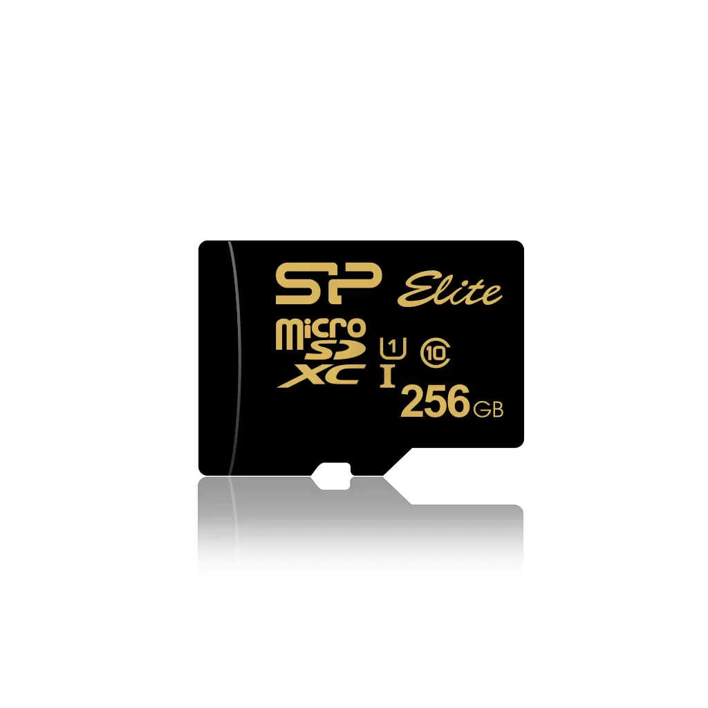 SP high endurance 4K microSD 256GB