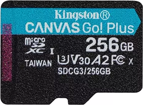 כרטיס זיכרון 256GB microSDXC Canvas GoPlus 170R A2 U3 V30 SNGL PK NO ADP