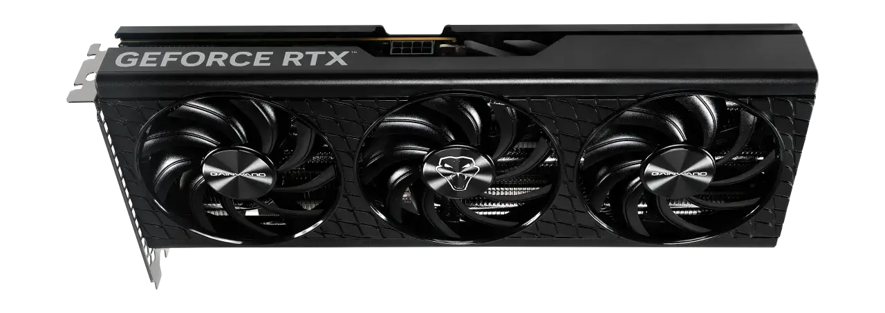 כרטיס מסך Gainward GeForce RTX 5060 Ghost תמונה 2