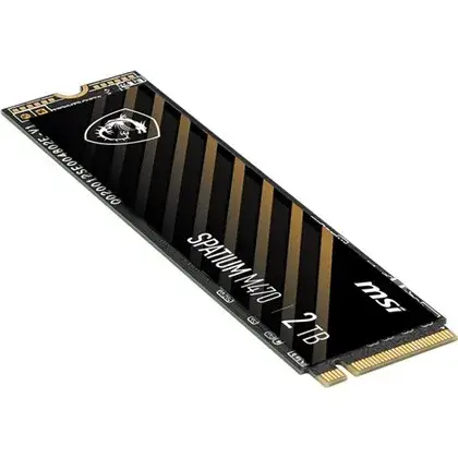 דיסק פנימי MSI SSD 2TB SPATIUM M470 Pro PCIe 4.0 NVMe M.2 תמונה 3
